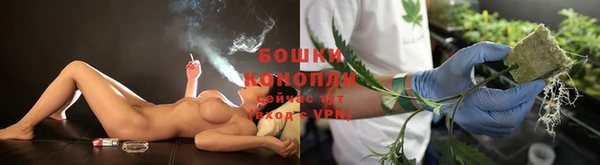 стаф Пестово